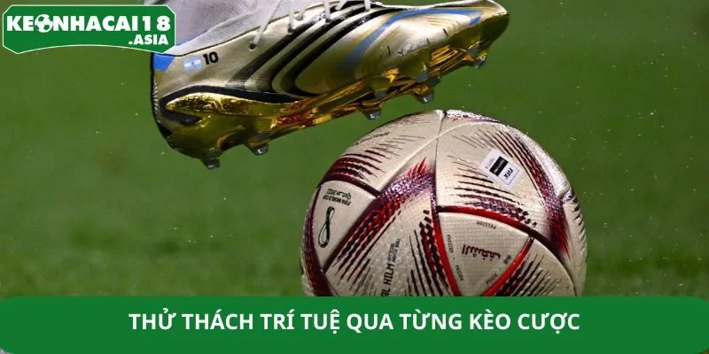 Thử thách trí tuệ qua từng kèo cược Thử thách trí tuệ qua từng kèo cược