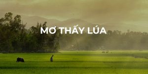 Giới thiệu về giấc mơ thấy lúa