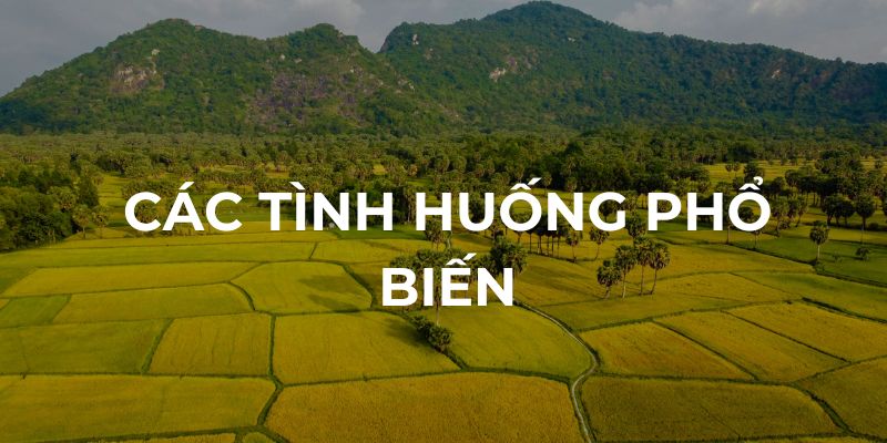 Các tình huống mơ thấy lúa phổ biến