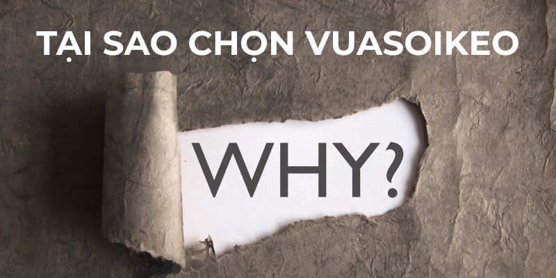 Vì sao vuasoicau là trạm dừng chân của tôi